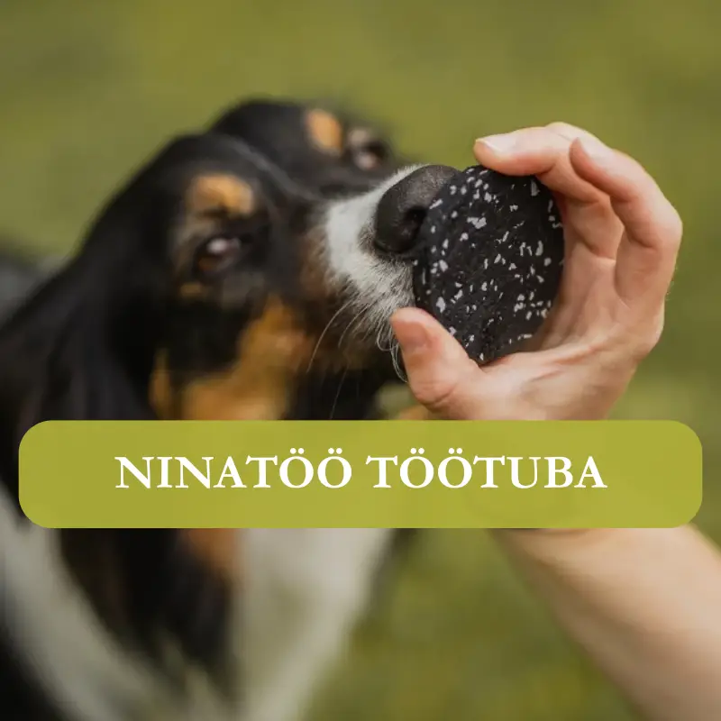Ninatöö töötuba Keilas kodulehele (10)